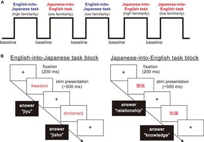 Language Familiarity and Proficiency Leads to Differential Cortical Processing During Translation Between Distantly Related Languages